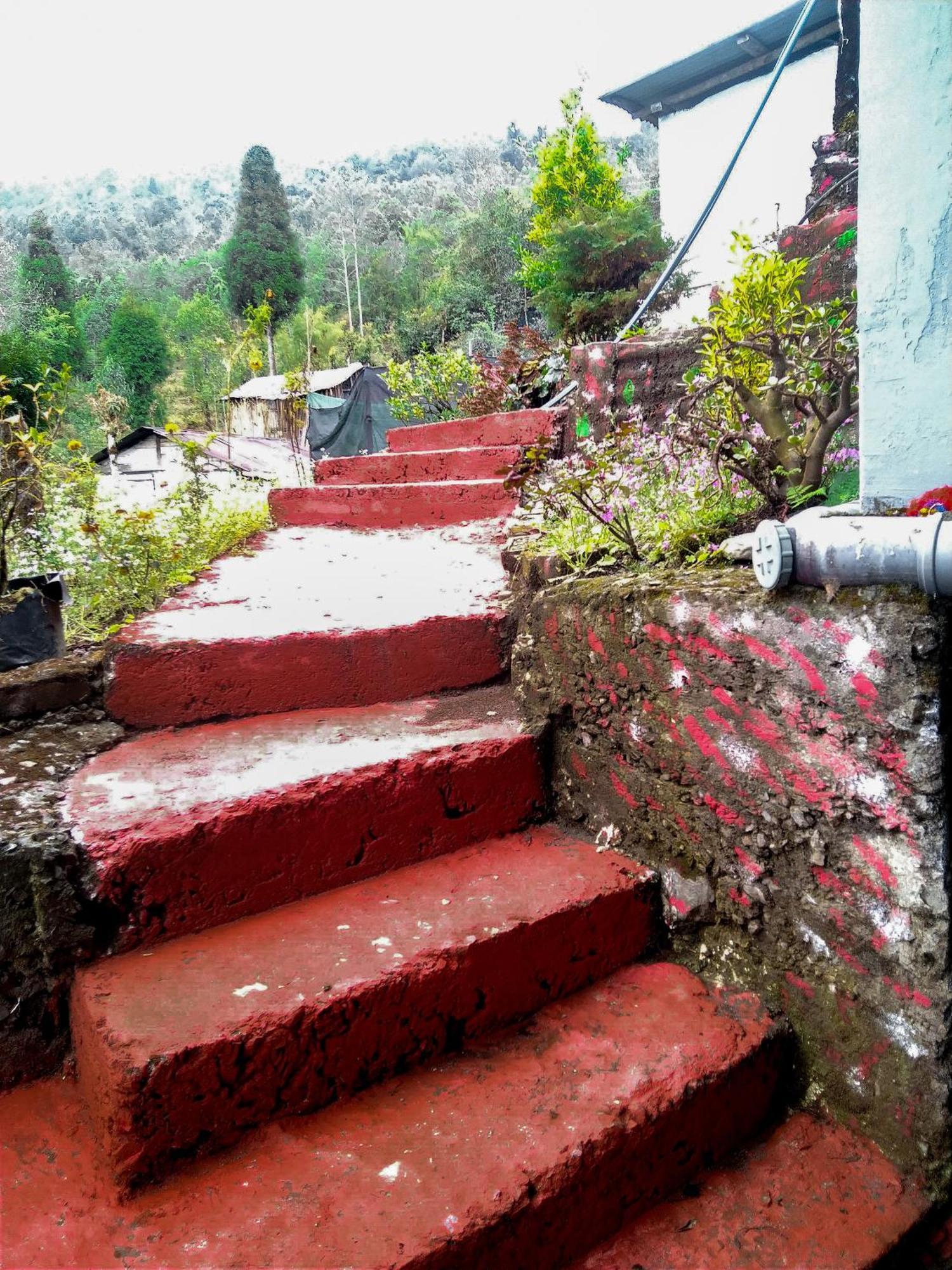 The Himalayan Resort Ravangla Eksteriør billede